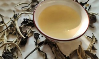 白茶的功效与作用适合什么季节喝 白茶的功效与作用适合什么季节喝好