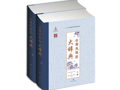 谱写中国民族药的新篇章——评《云南民族药大辞典》