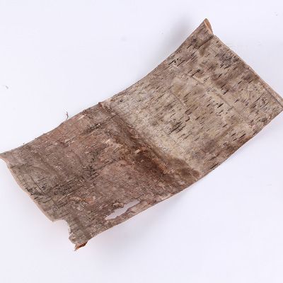 桦木皮的功效与作用-桦木皮的图片样子