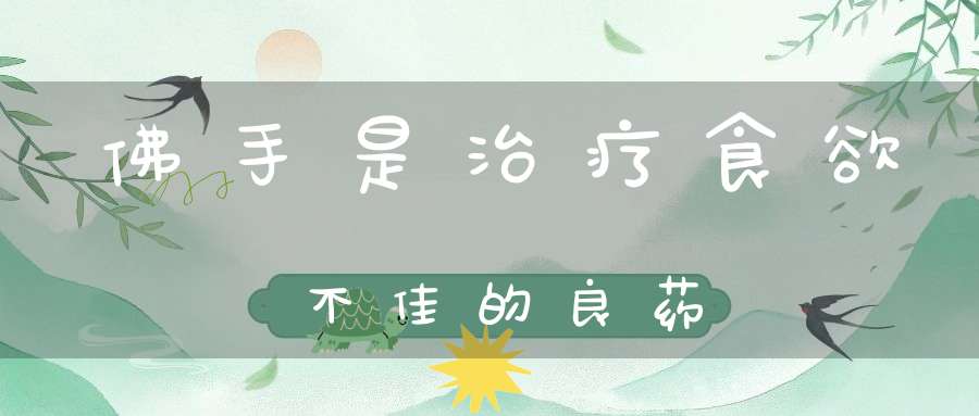 佛手是治疗食欲不佳的良药(佛手的作用和功效有哪些?)