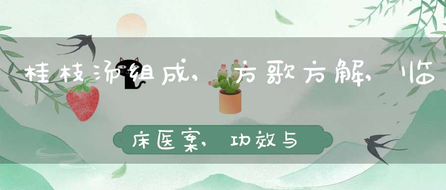 桂枝汤组成,方歌方解,临床医案,功效与作用