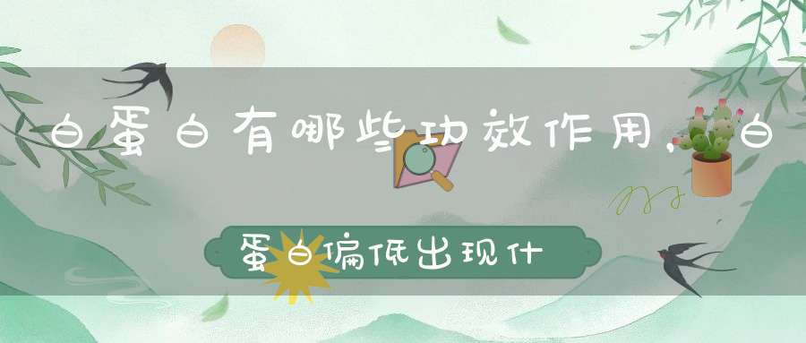 白蛋白有哪些功效作用，白蛋白偏低出现什么危害，你可能没了解过