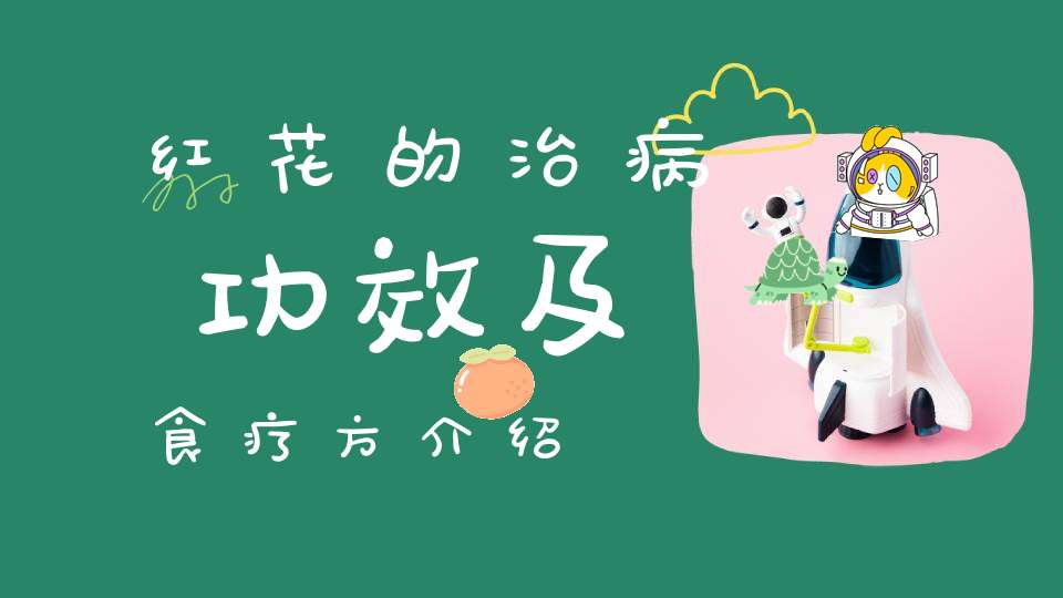 红花的治病功效及食疗方介绍