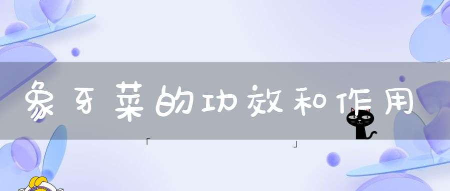 象牙菜的功效和作用