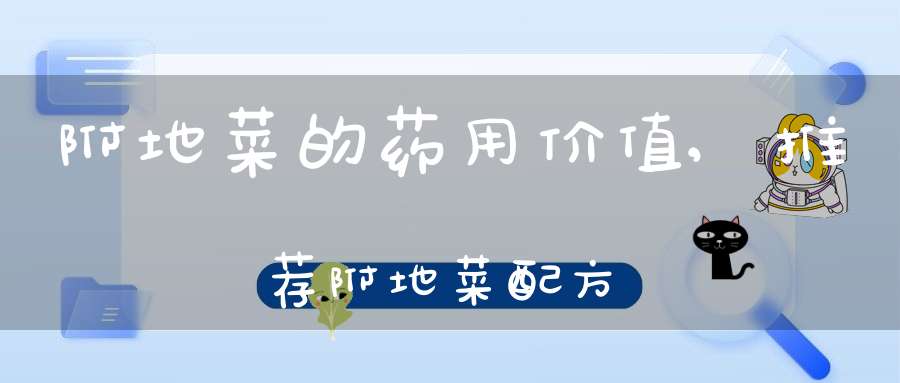 附地菜的药用价值,推荐附地菜配方