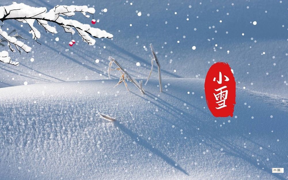 小雪养生指南（小雪吃什么）