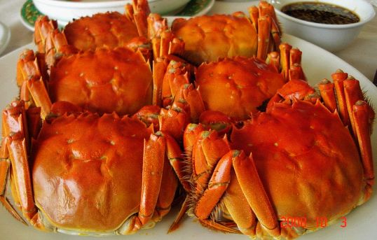 吃蟹黄致癌澄清