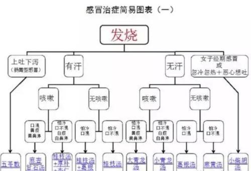 感冒两方常备、节省药费！