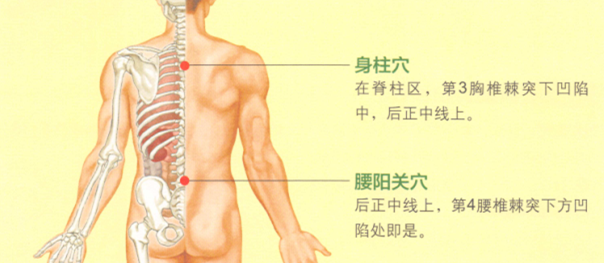 背脊痛艾灸