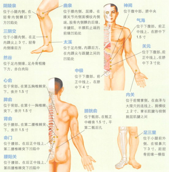 阳痿艾灸