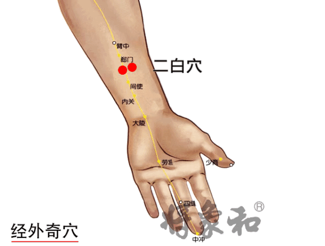 二白穴