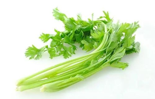 芹菜叶子能不能吃，为什么芹菜叶子不能吃
