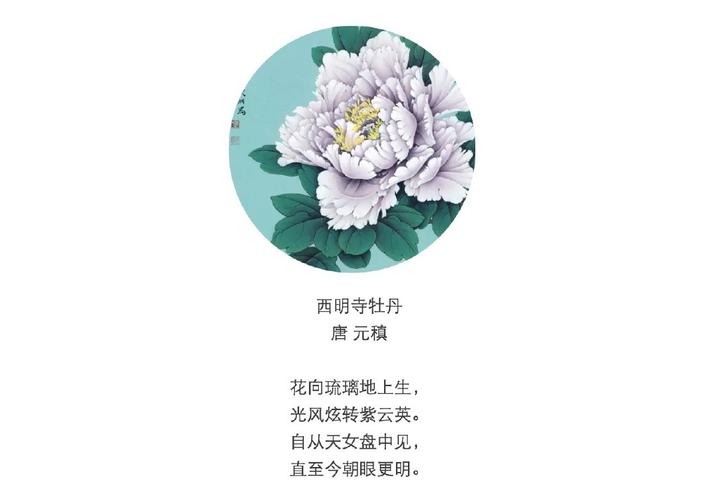 关于牡丹的诗词考试题目