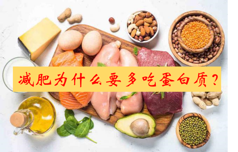 为什么多吃蛋白质会瘦，蛋白质减肥法的原理