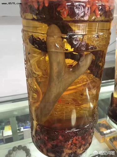 肉苁蓉和什么泡酒最好，配伍锁阳壮阳且延年益寿