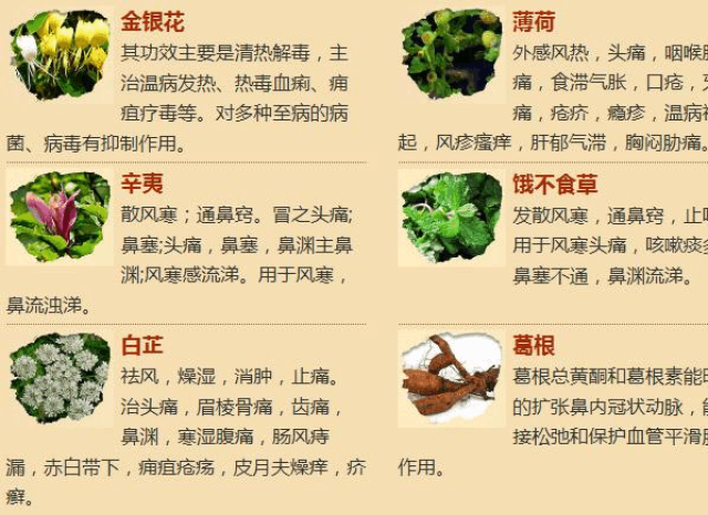 民间治疗鼻炎的偏方有哪些8种治疗鼻炎土方法