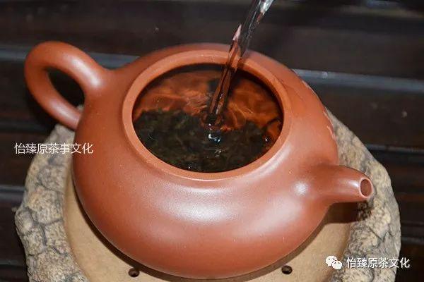 马益群壶为茶活