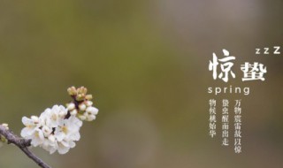 惊蛰节气养生应该吃什么
