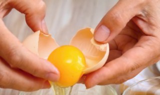 白莲须煲鸡蛋有什么功效