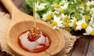蜂蜜的作用和用途 蜂蜜的作用和用途有哪些