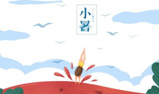 小暑养生喝什么茶