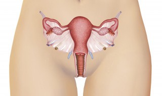 女性结扎前后要注意什么