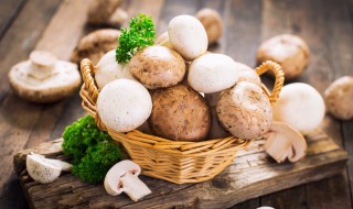 冬菇有什么功效与作用 冬菇有什么作用?