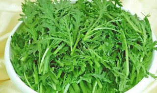 茼蒿痛风能吃吗