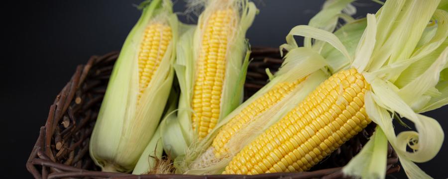 玉米须煮水的九种功效