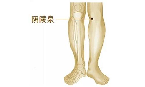 阴陵泉按压痛说明什么