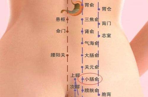 小肠俞的准确位置图和作用