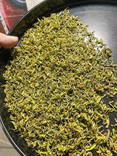 瓮安黄金芽属于什么茶