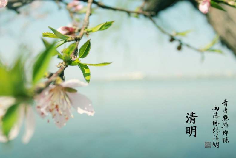 二十四节气——清明节气清明节气养生(二十四节气清明养生小知识)