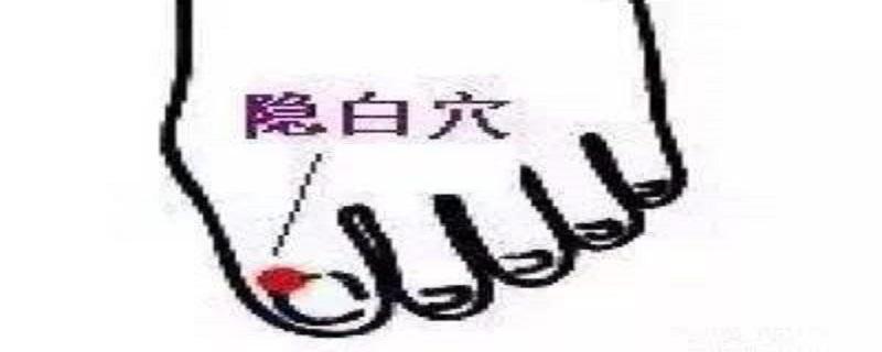 隐白的位置在哪里