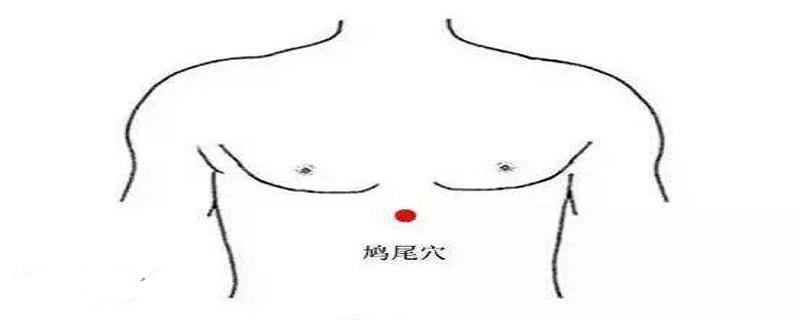 鸠尾的准确位置及功效 鸠尾的妙用
