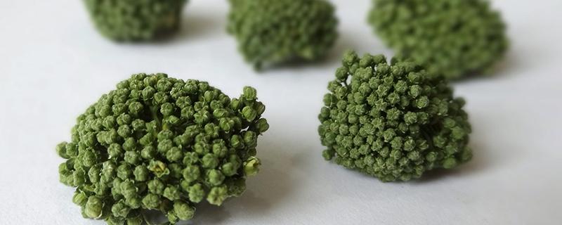 三七花泡水喝的副作用