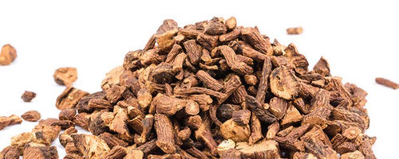 蒲公英根茶的功效与作用及副作用