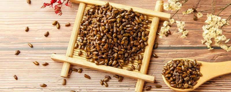 决明子什么时候喝最佳 决明子适合每天喝吗