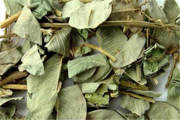 干金钱草的功效与作用,干金钱草的功效与作用及食用方法