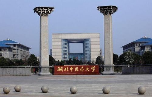 湖北中医药是冷门大学吗,湖北中医药是冷门大学吗