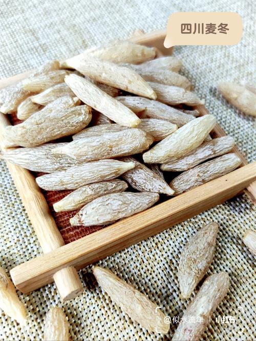 麦冬中药百科,麦冬的药用价值和治疗什么病