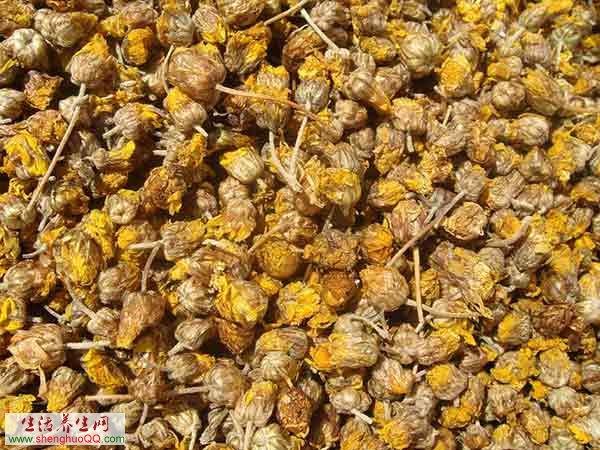 野菊花的药用功效和作用,野菊花功效与作用的功效与作用