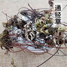 通经草与什么搭配有功效,通经草与什么搭配有功效呢
