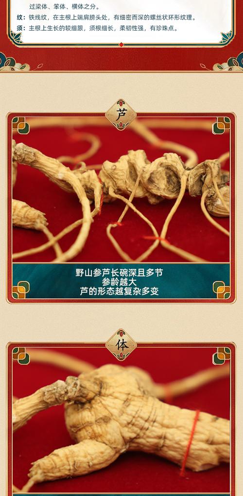 一等野山参9克价格表,二等一级野山参价格