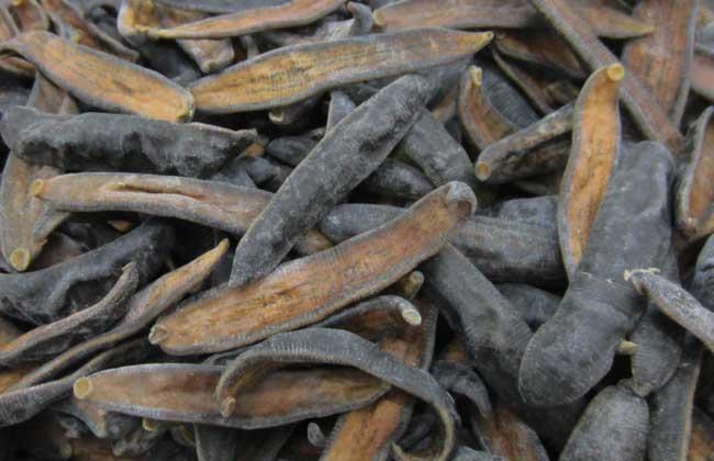 水蛭能提高性功能吗,我服用水蛭素肽三个月后效果