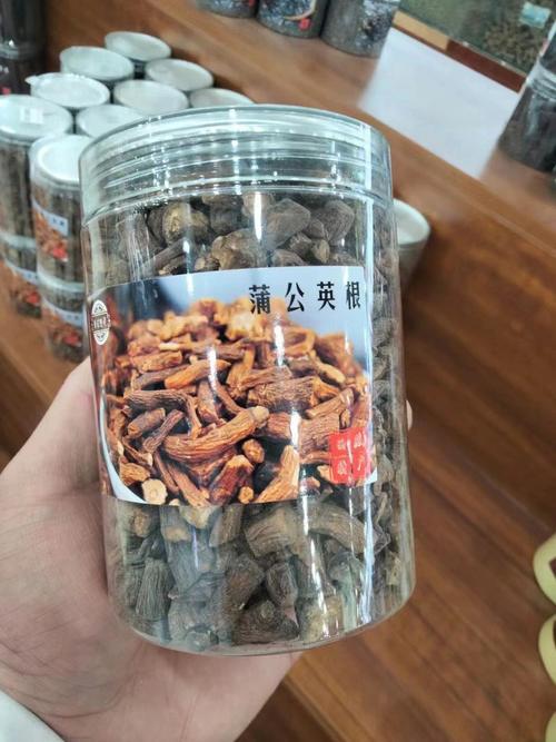 蒲公英的根的功效是什么,蒲公英的根有什么功效与作用