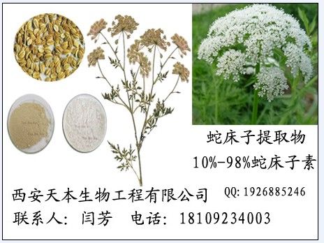 蛇床子提取物对皮肤的作用,蛇床子提取液