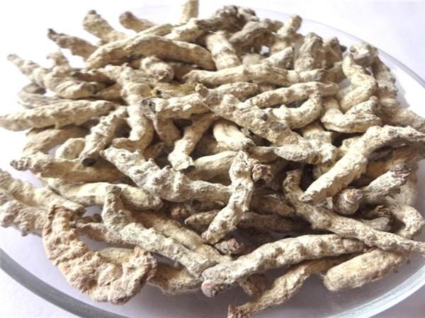 天麻与僵蚕的共同功效,中药天虫和僵蚕是一种药吗