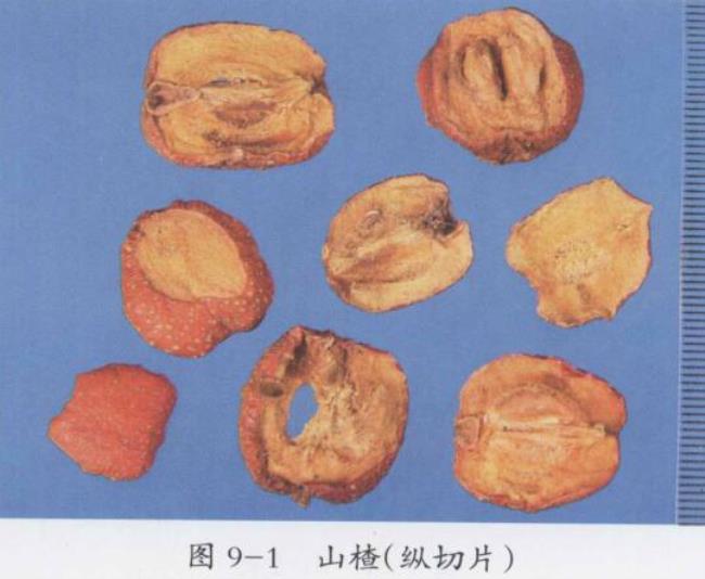山楂