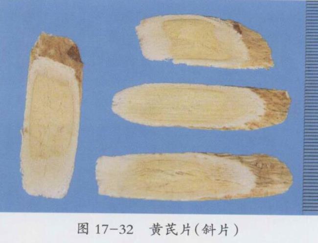 黄芪